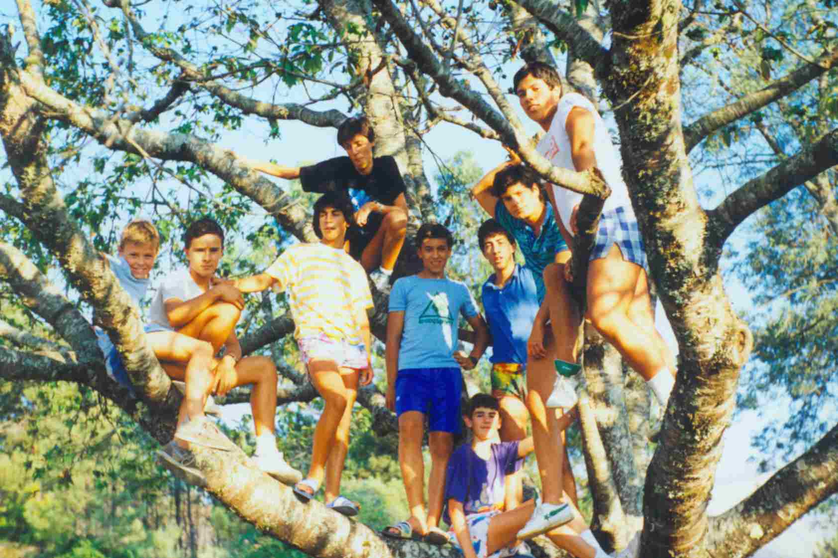 Juventude do Monte Frio em cima da antiga cerejeira da escola em Agosto de 1988