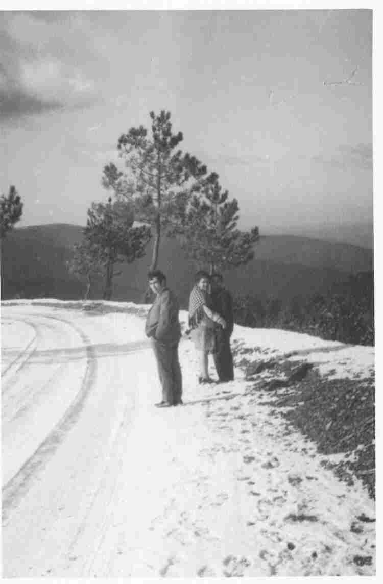 Antiga estrada no Monte Frio (geogr.) no séc. XX